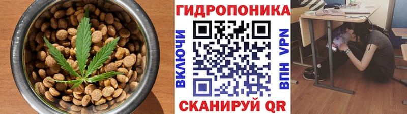 где купить наркоту  гидра ТОР  Cannafood конопля  Рославль 