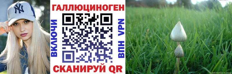 Псилоцибиновые грибы ЛСД  купить наркотик  Рославль 