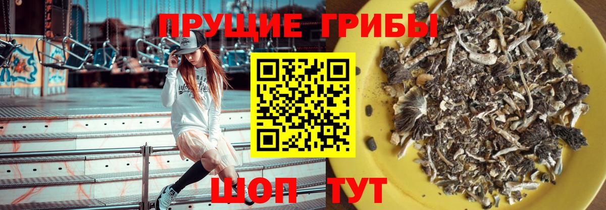 что такое наркотик  Вход с VPN  Псилоцибиновые грибы Magic Shrooms  Рославль  Галлюциногенные грибы MAGIC MUSHROOMS 