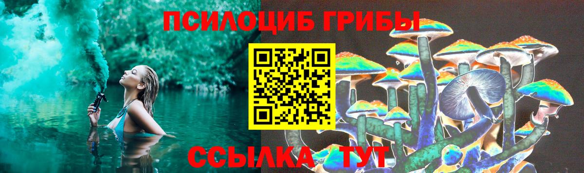 Галлюциногенные грибы Psilocybe Рославль